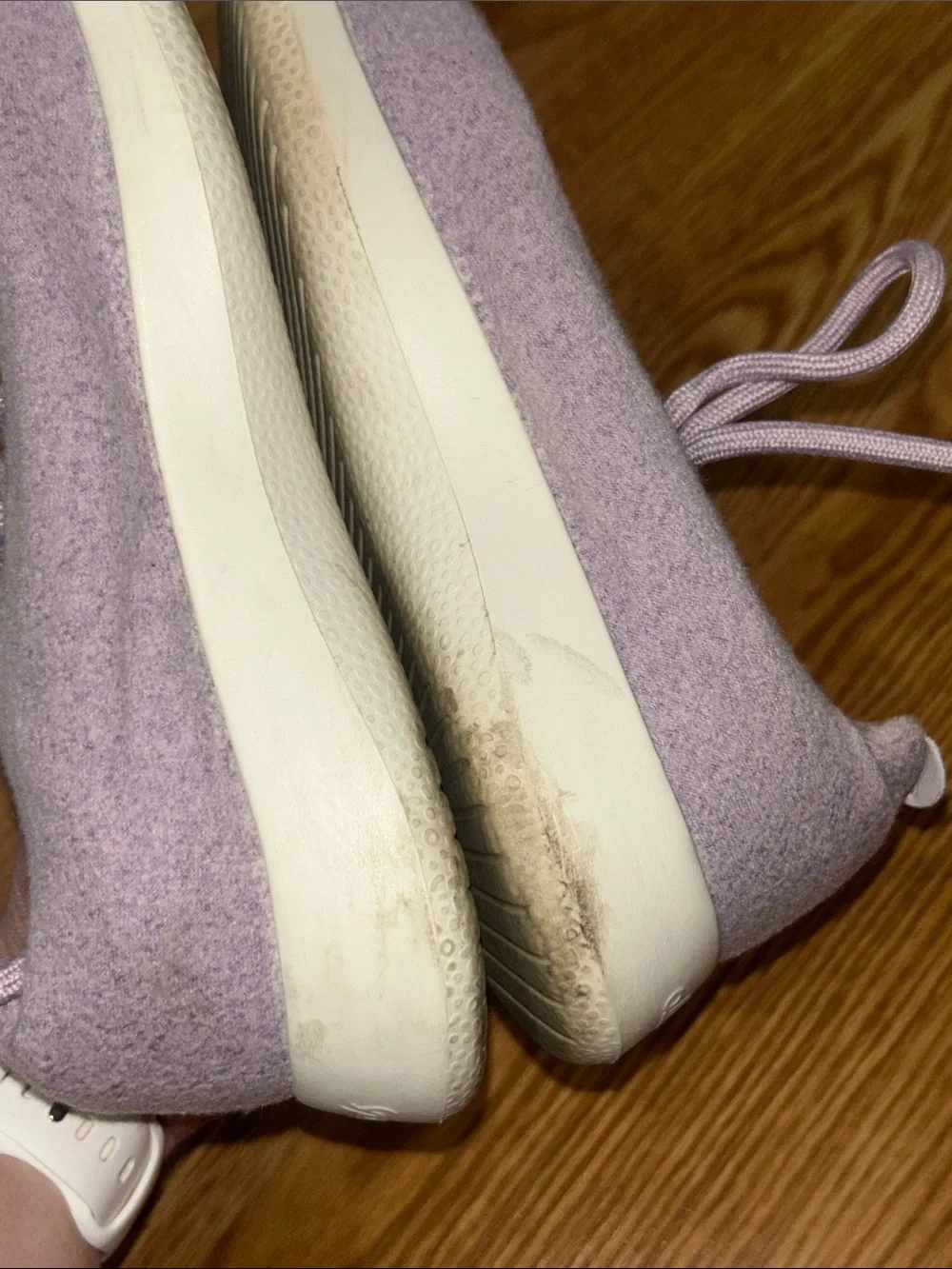allbirds Lavender Wool Runners